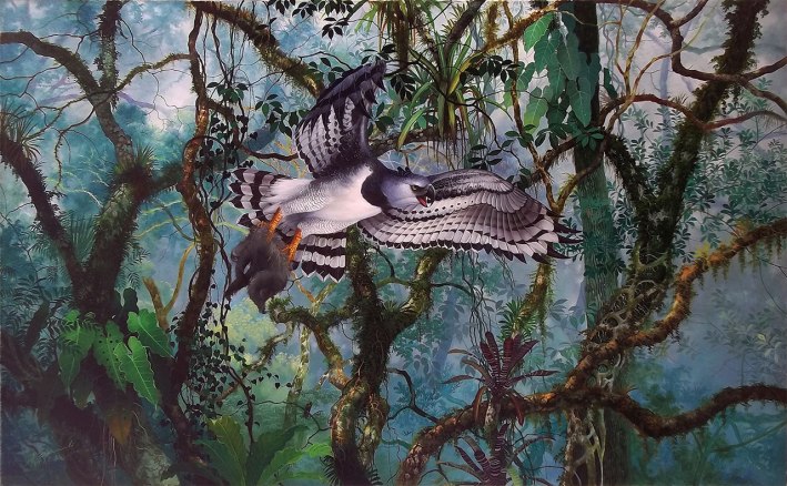 anderson debernardi harpy-eagle-hunting